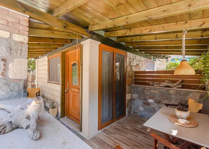 Talizeti - Adults Only * Sarti