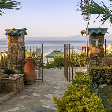 Talizeti - Adults Only