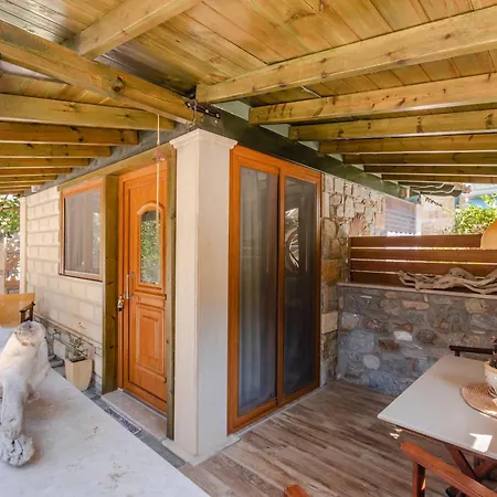 Talizeti - Adults Only * 萨尔蒂