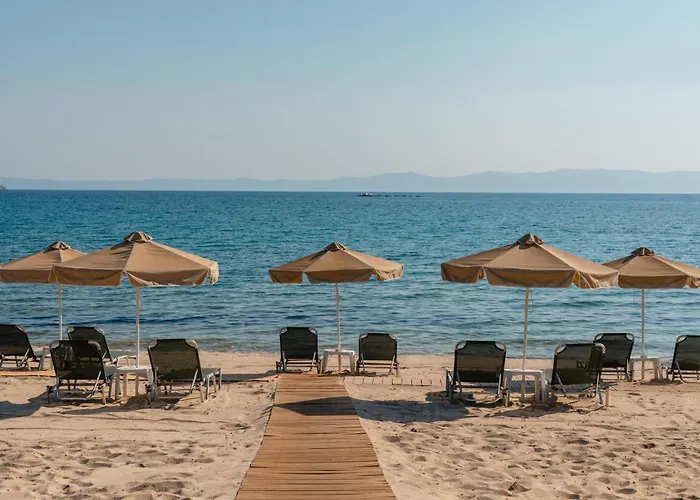 Talizeti - Adults Only Σάρτη